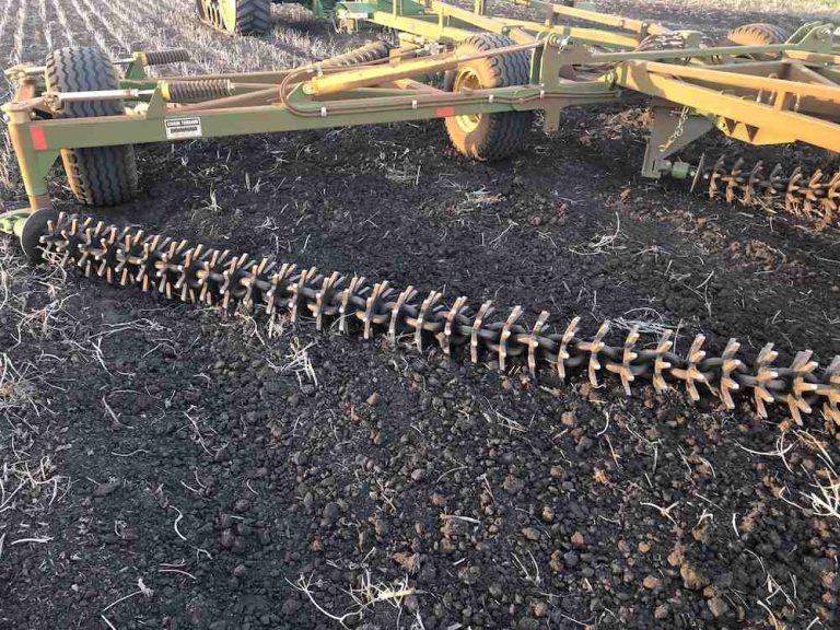 How Spiked Disc Chain is an Ideal Tool for Removing Weeds? Kelly