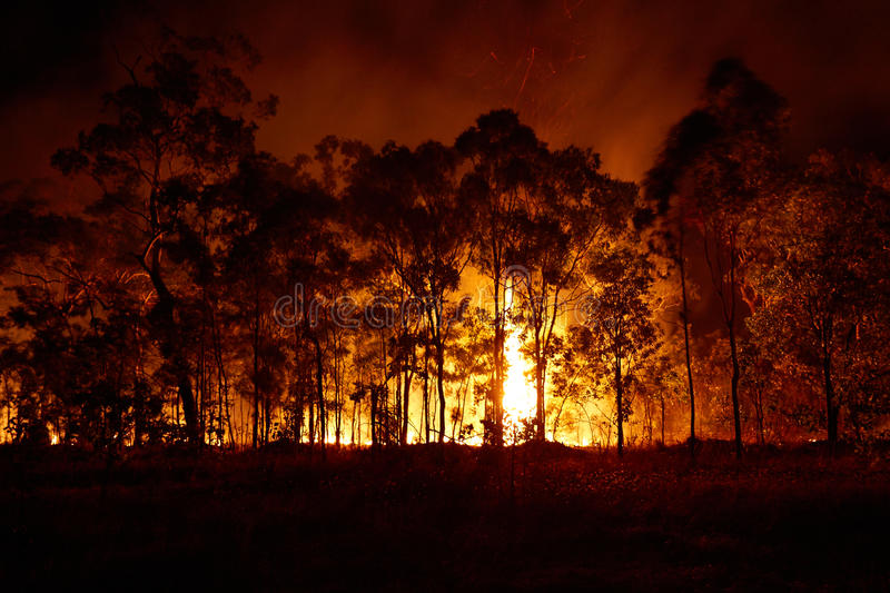 bushfire-australia