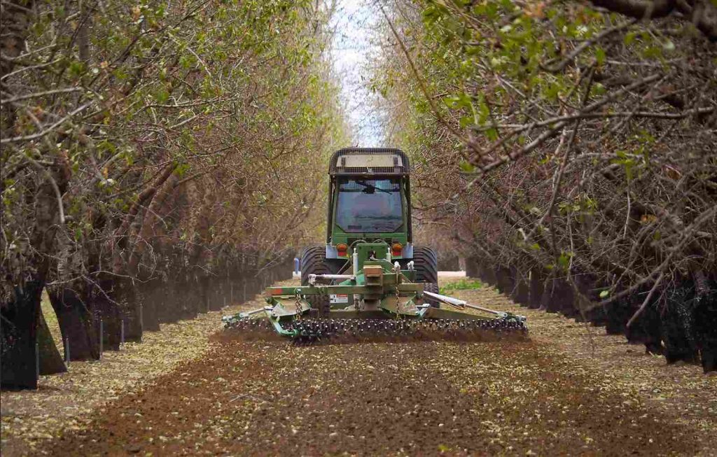 level-row-middles-almond-orchards