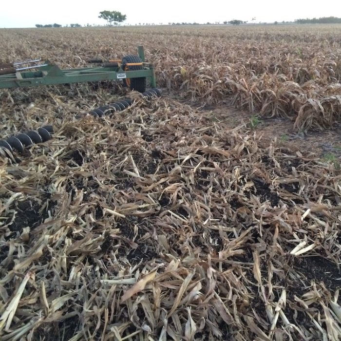 Mulching-sorghum-stubble-1.jpg